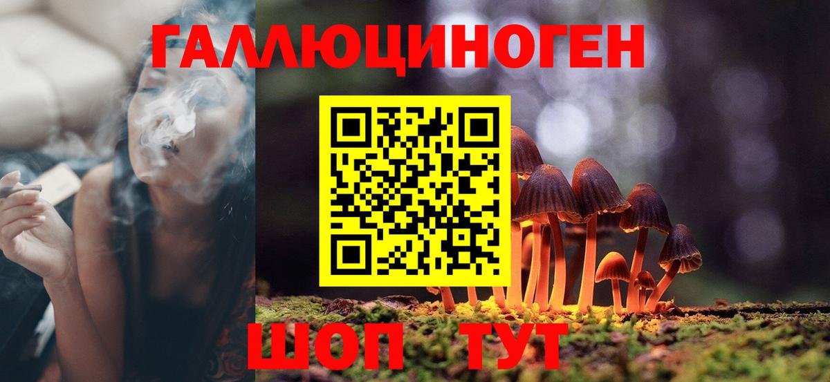 Псилоцибиновые грибы Psilocybine cubensis  Вход с VPN  Пыть-Ях 